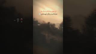#allah #muhmmadﷺ #mehmaan #raaz #ghaybat #unfrezzmyaccount #duet #line
