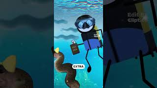 The great eel mystery..