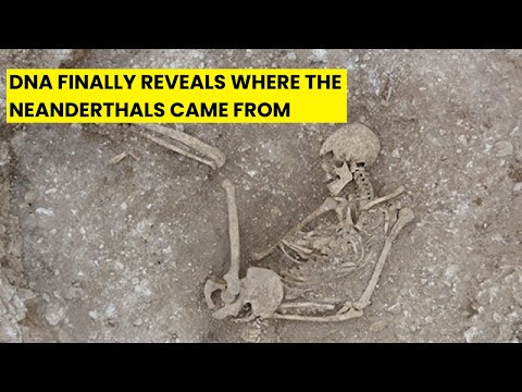 Ancient DNA Finally Reveals the REAL Origin of theNeanderthals