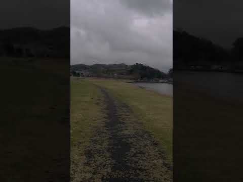 芝の敷かれた公園を散歩する #散歩 #ぼっち #shortsfeed