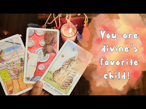 Universe is asking you to do this one thing | Timeless tarot reading 😍🔮