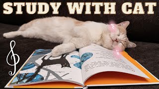 STUDY WITH CAT/Calm Piano/Relax Music