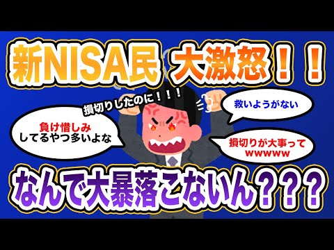 新NISA損切り民、大暴落を恐れて損切りしたのに暴落が来なくて大激怒wwww