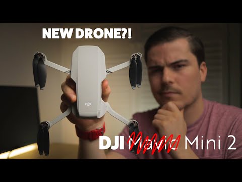 My Thoughts on the DJI MINI 2 (from a Mavic Mini Owner!)