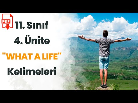 11. SINIF İNGİLİZCE 4. ÜNİTE(WHAT A LIFE!) KELİMELER - QUIZ + PDF