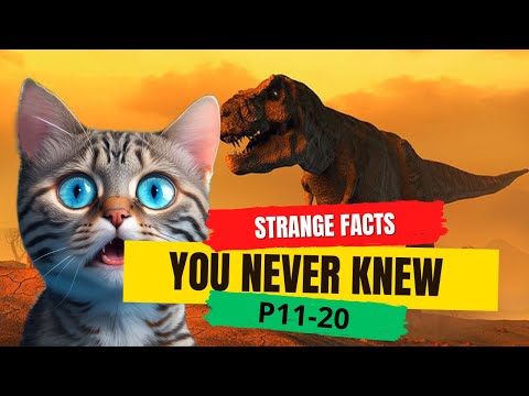Strange Facts You Never Knew P.11-20 | Discovery Daze | Interesting And Weird Facts #facts