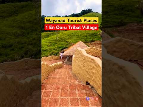വയനാട് കണ്ടിരിക്കേണ്ട സ്ഥലങ്ങൾ | Top tourist places in Wayanad #shorts #shortsfeed #trending