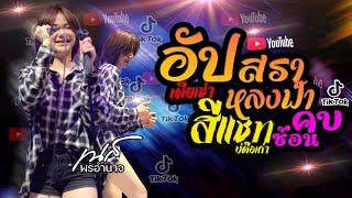 HIT🔥คอนเสิร์ต เนส พรอำนาจ | อัปสราหลงฟ้า + สีแชท + ตั๋วแฟน + เมียเช่า | Zapp Bar อยุทธยา