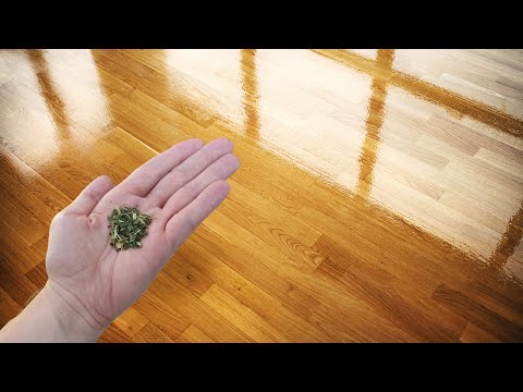 I don't use chemicals, and the floor shines like in a 5-star hotel