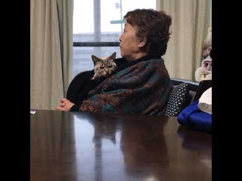 おばあちゃんとチャチャ
