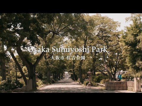 Osaka Local Walk in Sumiyoshi｜A Relaxing Time at Sumiyoshi Park