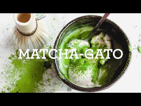 Matcha-gato