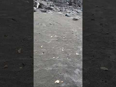 Boulder Field on Low Water Bedrock Shelf Mostly Buried in Relatively Shallow Sand, on No Name Creek