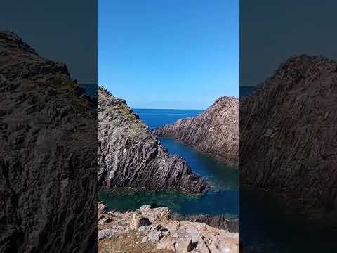 la scogliera sarda #sardegna#isoladell'Asinara#isola#vlog#mare#spiaggia#pera.52#italia