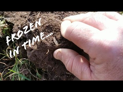 Metal detecting Ohio during the frozen month of January!