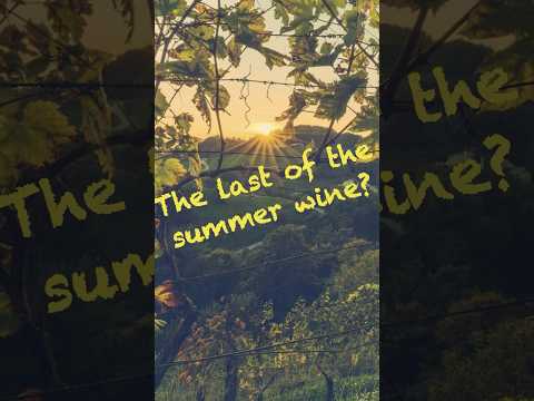 Our best ‘last of the summer wines’ from Majestic