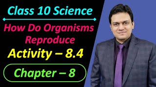 Activity 8.4 Class 10 Science Chapter 8 How Do Organisms Reproduce