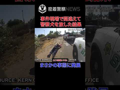 警察犬がいる事件現場に出くわすとどうなる？まさかの事態に巻き込まれる！【ボディカメラ】【アメリカ警察密着】 #密着取材 #密着警察 #警察24 #警察密着 #ボディカメラ