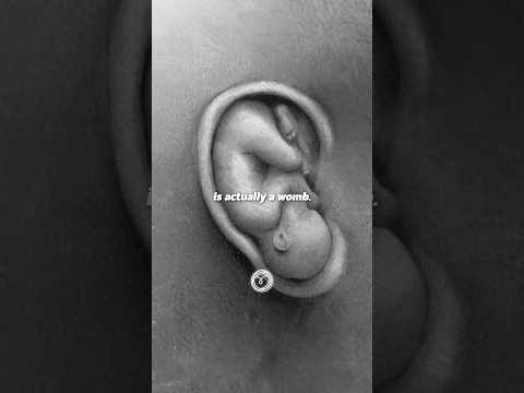 Your ear is a WOMB (The POWER of affirmations explained)