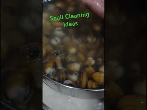 Snail Cleaning ideas #viralvideo #shortyoutube