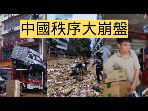 從器官移植到全民0元購，一場席捲全社會的信任危機與秩序崩盤。