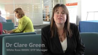 Dragon Interview - Dr Clare Green