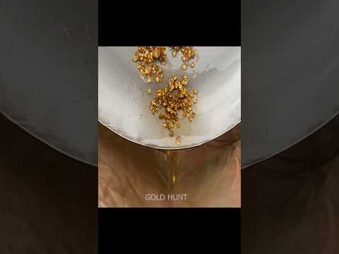 amazing gold recovery process #goldcollector #goldextraction #craft