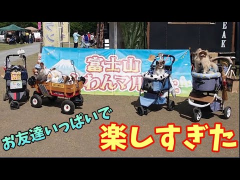 富士山わんマルシェで集合！