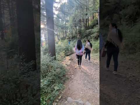 Yeh Pal Kahi Thara Nahi... #bollywoodsongs #mountaintracking #beautifulview #shorts