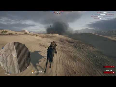 Desert Pony Patrol