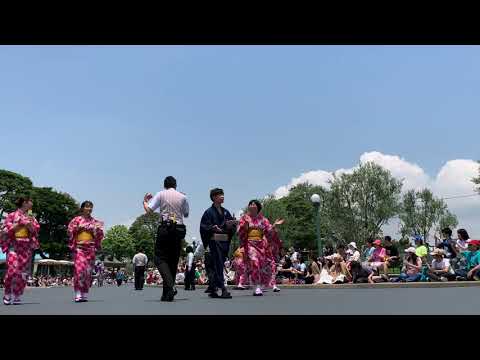 【TDL】七夕グリーティング2019