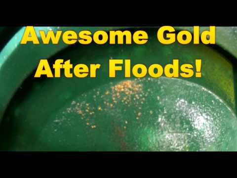 Fantastic Gold pocket after Floods!