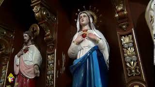 Solemnity of the Ascension of the Lord (12 May 2024)