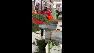 茶叶店里几百上千的茶叶就是从这里来的 全国绿茶第一市的茶叶发往全国各地的茶叶店#口粮茶推荐 #爱喝茶的关注我 #原产地 #春茶 #茶叶市场