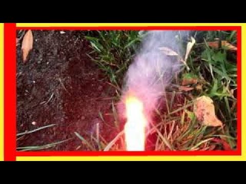 SURE - BEST WAY to GET RID of MOLES and GOPHERS in your yard - $2 solution-In2 min. Please Subscribe