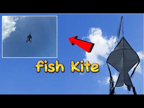 Make a Fish Kite Fly in the Rain! | It Flies Like a Jet