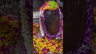 #mahadev #mahakal  #shivbhakt #shiva_holic  #shivshankar #rudra #bholenath #gorishankar #trending
