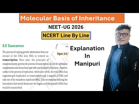 Molecular Basis of Inheritance || NCERT Line by Line