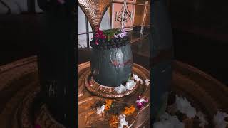 #jai_gangeshwar #jaishivshakti #jaishivshambhov #harharmahadev #jaisomnath #harharmahadevshambhu #🕉🔱