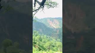 Pahad #pahad #paharibait #viral #hardworkworks