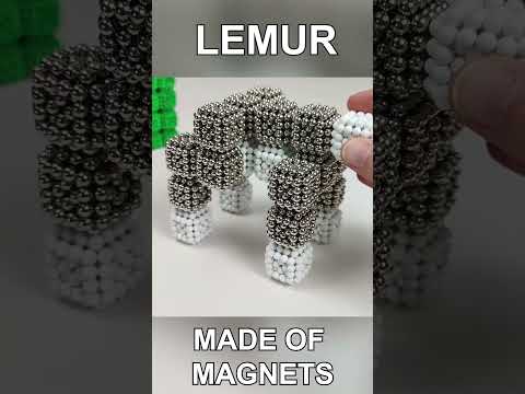 Magnetic Lemur