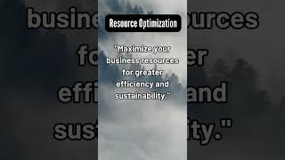 Resource Optimization in Business