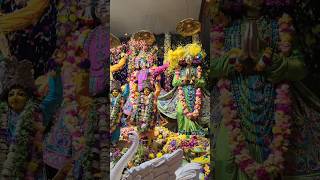 Holi khel rahe😍#happyholi #holi2024 #holikabhai #vrindavanholi #krishna #newsong #shorts