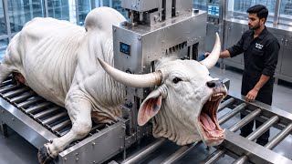 Inside the White Brahman Bull Horn Processing Factory | From Horns to Luxury Products | Full Process