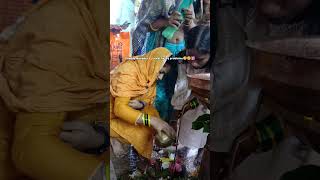 har har mahadev 🙏🙏 jay shiv Shankar 🙏🙏 bholenath 🌸🌷💐🌹 #harharshambhushivamahadeva #harharmahadev