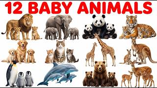 12 Baby Animals Names in English & Hindi 🐶😻| Animals and Their Babies | बच्चों के जानवरों के नाम