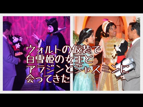 ウォルトの仮装で白雪姫に女王とアラジンとジャスミンに会ってきた