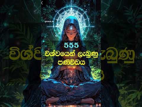 මේ පණිවිය විශ්වයෙන් ඔයාට!🪬🌠#universemessage #lawofattraction #astrology