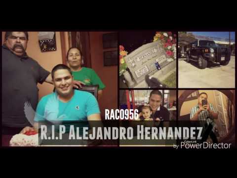 Q.E.P.D Alejandro Hernandez - Raco956