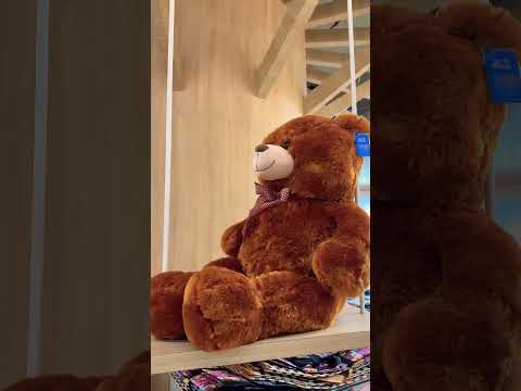 Love for teddy @ThePositivityPlace #ytshort #shortsvideo #views #viral #tiktok #simplezindgi #fyp